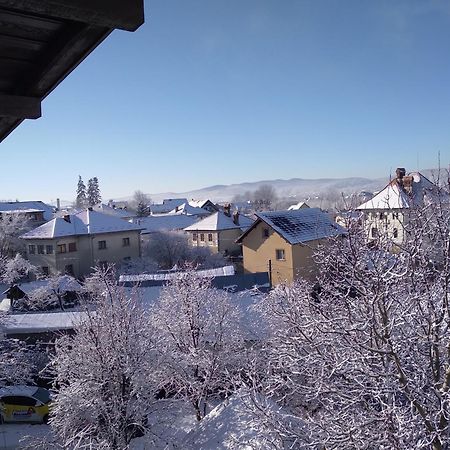 Casa Romaneasca Curtea de Argeş Zewnętrze zdjęcie
